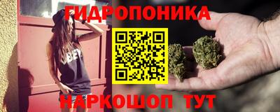 гидра Новозыбков