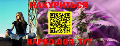 гидра Новозыбков